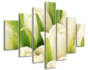 Vászonkép Gyengéd tulipánok - 7 részes Méret: 210 x 150 cm