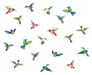 Ablakmatrica szett 20 db-os 40x60 cm Hummingbirds – Ambiance