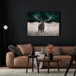Kép 85x113 cm Deer – Styler
