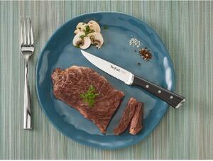Rozsdamentes acél steak kés szett 4 db-os Ice Force - Tefal