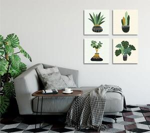 Kép szett 4 db-os 30x30 cm Plants – Wallity