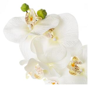 Műnövény (magasság 45 cm) Orchid – Casa Selección