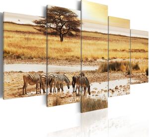 Vászonkép - Zebras on a savannah