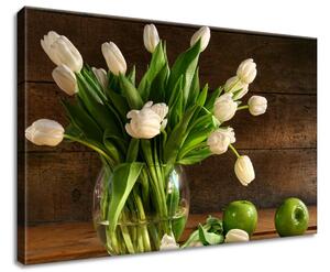 Vászonkép Fehér tulipánok Méretek: 60 x 40 cm