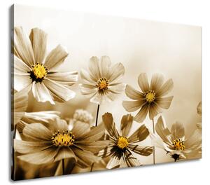 Vászonkép Virágos szépség Méretek: 100 x 70 cm