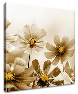 Gario Vászonkép Virágos szépség Méret: 60 x 40 cm