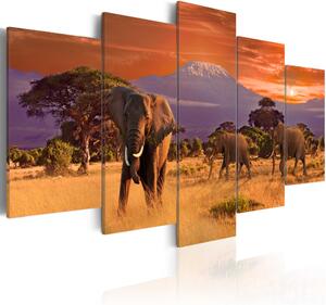 Vászonkép - Africa: Elephants