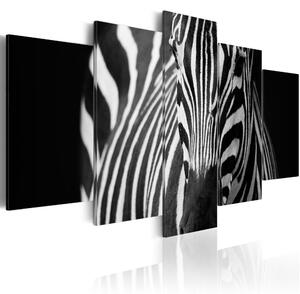 Vászonkép - Zebra look
