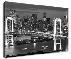 Gario Vászonkép Tokyo Bay híd Méret: 60 x 40 cm