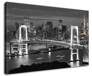 Vászonkép Tokyo Bay híd Méretek: 60 x 40 cm
