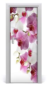 Fotótapéta ajtóra Orchidea 75x205cm