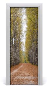 Ajtóposzter öntapadós nyírfa erdő 85x205cm