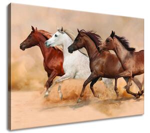Gario Vászonkép Gyönyöru lovak állománya Méret: 60 x 40 cm