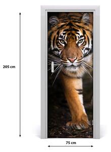 Fotótapéta ajtóra Tigris 75x205 cm