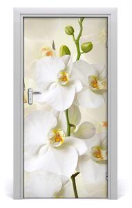 Ajtó tapéta fehér orchidea 95x205