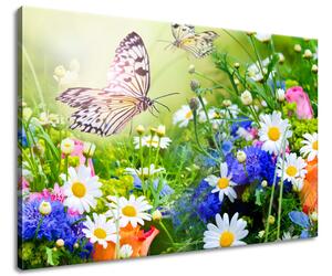 Vászonkép Pillangók és virágok a gyönyöru kertben Méret: 90 x 60 cm