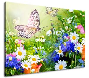 Vászonkép Pillangók és virágok a gyönyöru kertben Méretek: 100 x 70 cm