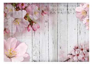 Fotótapéta - Apple Blossoms