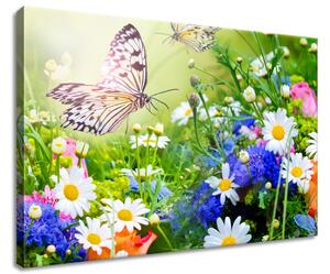 Vászonkép Pillangók és virágok a gyönyöru kertben Méretek: 60 x 40 cm