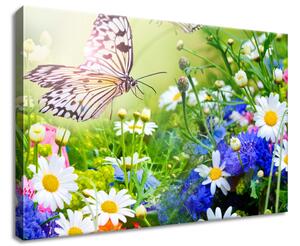 Vászonkép Pillangók és virágok a gyönyörű kertben