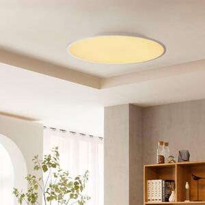 Lindby - Narima LED Mennyezeti Lámpa CCT Ø80 White/SilverLindby - Lampemesteren