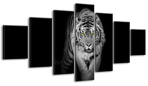 Gario Vászonkép Veszélyes tigris a sötétben - 7 részes Méret: 210 x 100 cm