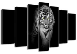 Gario Vászonkép Veszélyes tigris a sötétben - 7 részes Méret: 210 x 150 cm