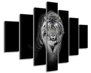 Vászonkép Veszélyes tigris a sötétben - 7 részes Méretek: 210 x 150 cm
