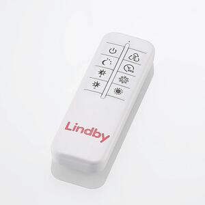 Lindby - Zayd LED Mennyezeti Lámpa Dim. Nickel - Lampemesteren