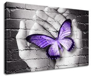 Vászonkép Lila pillangó tenyéren Méretek: 60 x 40 cm