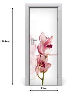Fotótapéta ajtóra rózsaszín orchidea 95x205