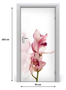 Fotótapéta ajtóra rózsaszín orchidea 95x205