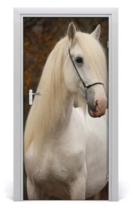 Ajtó méretű poszter fehér Ló 95x205