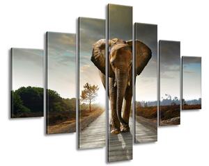 Vászonkép Magányos eros elefánt - 7 részes Méretek: 210 x 150 cm
