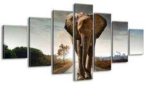 Gario Vászonkép Magányos eros elefánt - 7 részes Méret: 210 x 150 cm