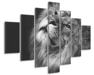 Gario Vászonkép Ezüst oroszlán - 7 részes Méret: 210 x 150 cm