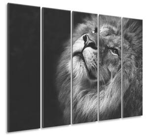 Vászonkép Ezüst oroszlán - 5 részes Méretek: 225 x 160 cm
