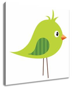 Vászonkép Zöld kócos madárka Méretek: 30 x 30 cm