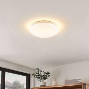 Lindby - Janosch LED Mennyezeti Lámpa - Lampemesteren