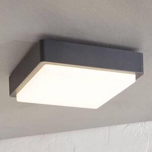 Lindby - Nermin Square LED Kültéri Fali Lámpa IP65 Dark Grey/WhiteLindby - Lampemesteren