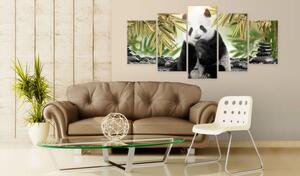 Vászonkép - Cute Panda Bear