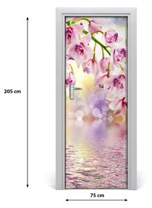 Ajtóposzter ajtó orchidea 75x205 cm