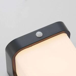 Lindby - Adenike LED Kültéri Fali Lámpa w/Sensor Dark GreyLindby - Lampemesteren