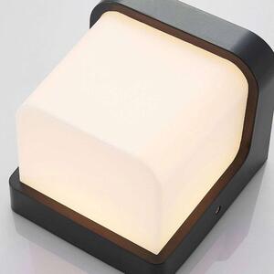 Lindby - Adenike LED Kültéri Fali Lámpa Dark GreyLindby - Lampemesteren
