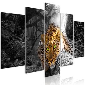 Vászonkép - Leopard Lying (5 Parts) Wide Grey