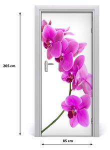 Ajtóposzter rózsaszín orchidea 85x205