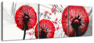 Gario Vászonkép Gyönyöru piros pitypangok - 3 részes Méret: 90 x 60 cm