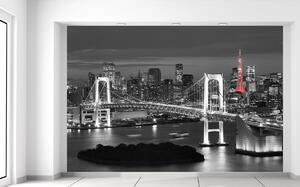 Gario Fotótapéta Szivárványhíd Tokió Anyag: Öntapadó, Méret: 268 x 240 cm