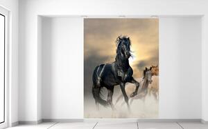 Gario Fotótapéta Gyönyöru fekete ló Anyag: Vlies, Méret: 200 x 150 cm