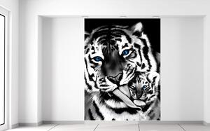 Gario Fotótapéta Feketefehér tigris és kistigris Anyag: Öntapadó, Méret: 368 x 248 cm